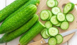 朝阳吃瓜网,揭秘娱乐圈最新热点，带你领略明星幕后故事